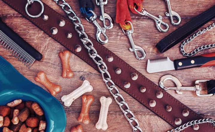 Le meilleur pour vos compagnons à quatre pattes